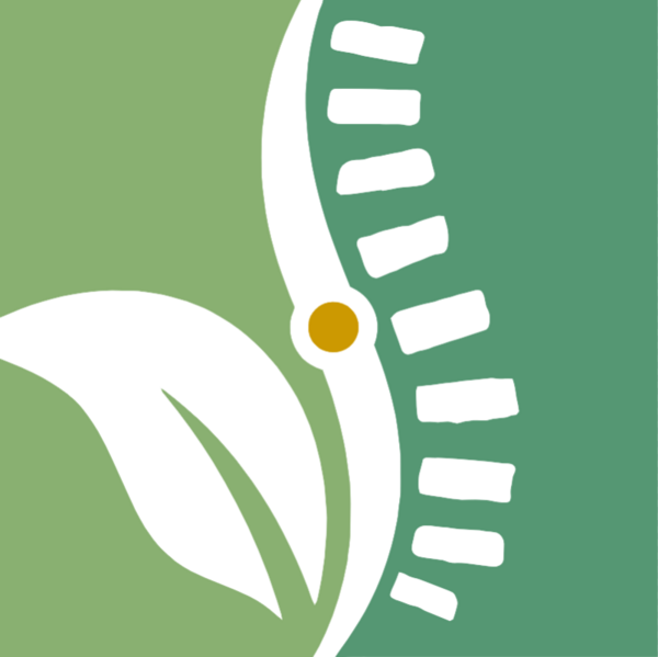 INEN Chiropractic