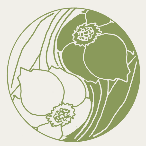Cara Frank Acupuncture
