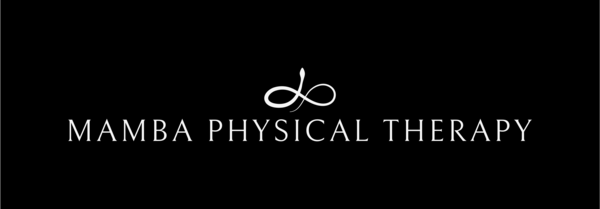 Vikas Patel Physical Therapy, PLLC